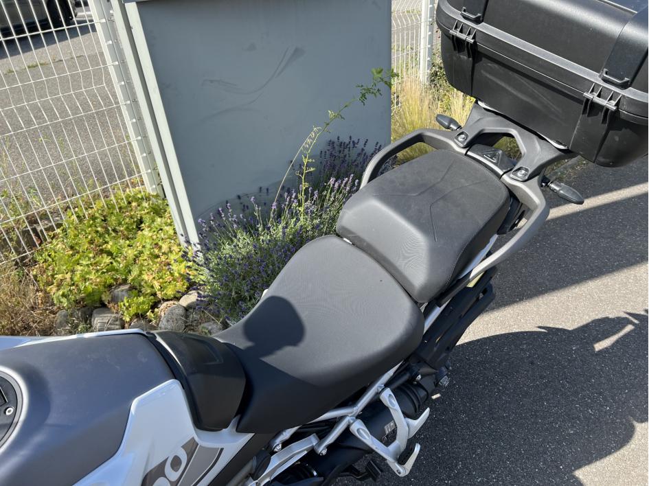 TRIUMPH TIGER 1200 GT PRO